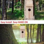 Outdoor Cedar Bird Houses for Hummingbirds & More