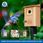 SISTERBIRD Cedar Bird Houses with Copper Guard