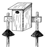 Birdhouse Construction Guide for Woodworkers