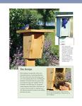 Fun Birdhouses and Feeders: 19 Projects to Attract Birds