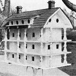 Birdhouse Projects: Easy to Advanced Designs