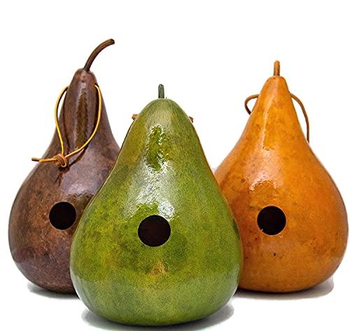 Colorful Gourd Birdhouses for Bird Lovers