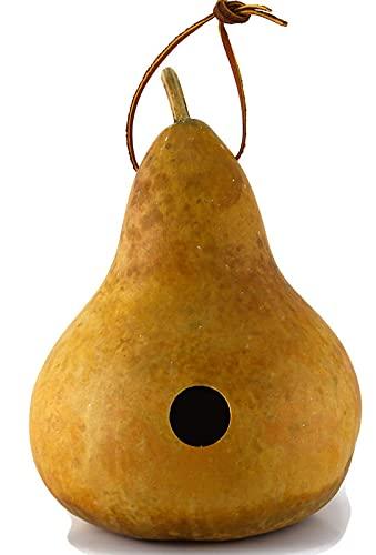 Create Your Own Unfinished Gourd Birdhouse