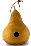 Create Your Own Unfinished Gourd Birdhouse