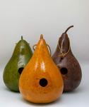 Colorful Gourd Birdhouses for Bird Lovers