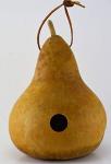 Create Your Own Unfinished Gourd Birdhouse