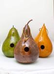 Colorful Gourd Birdhouses for Bird Lovers