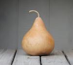 Martin Birdhouse Gourd Seeds - Non-GMO, High-Yield