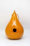 Colorful Gourd Birdhouses for Bird Lovers