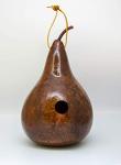 Colorful Gourd Birdhouses for Bird Lovers