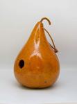 Colorful Gourd Birdhouses for Bird Lovers
