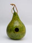 Colorful Gourd Birdhouses for Bird Lovers