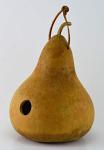 Create Your Own Unfinished Gourd Birdhouse