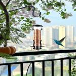 Durable Metal Bird Feeder for Wild Birds (Black)