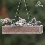 Durable Kingsyard Bird Feeder Holds 3.5 lbs