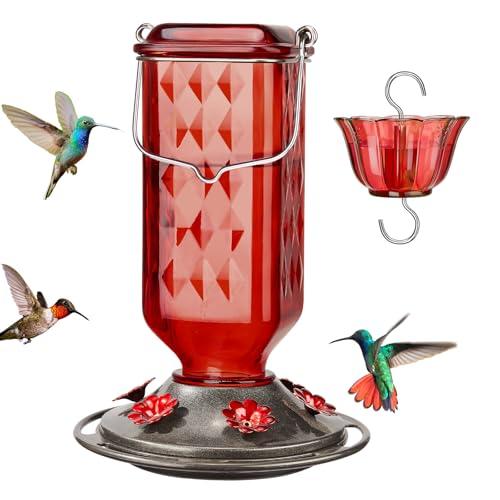 Hummingbird Feeders