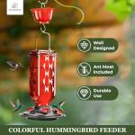 Glass Hummingbird Feeder with 6 Feeding Ports, 24oz