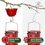 Glass Hummingbird Feeder with 6 Feeding Ports, 24oz