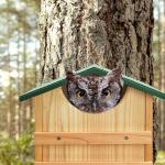 Handmade Screech Owl House - Cedar Wood - Easy Assembly