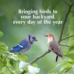 Hanging Suet Basket with Roof - 14.4oz