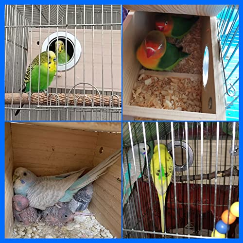 Parakeet Budgie Nesting House for Wild Birds