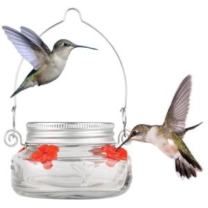 Clear Mason Jar Hummingbird Dish Feeder - 4
