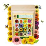 1000+ Heirloom Sunflower Seeds Mix for Planting
