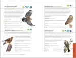 Bird Watching for Beginners: Field Notes on 150 Species