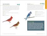 Bird Watching for Beginners: Field Notes on 150 Species