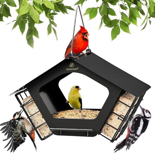Metal Bird Feeders with Mixed Seeds and Suet