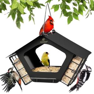 Metal Bird Feeders with Mixed Seeds and Suet