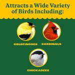 Pennington Wild Bird Feed and Seed, 40 lb