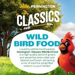 Pennington Wild Bird Feed and Seed, 40 lb