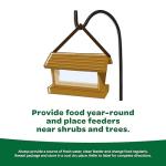 Kaytee Bird Food: Basic Seed Blend, 5 lb