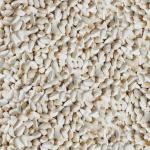 Safflower Seeds for Wild Birds - 5 lbs