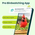 Smart Bird Feeder with Camera - Eco-Friendly Bamboo