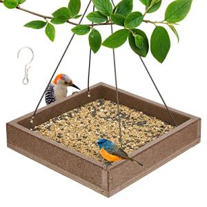 Durable Kingsyard Bird Feeder Holds 3.5 lbs