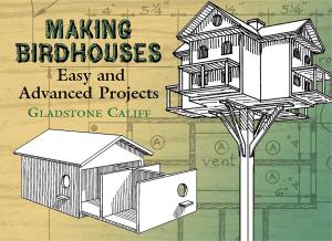 Birdhouse Projects: Easy to Advanced Designs