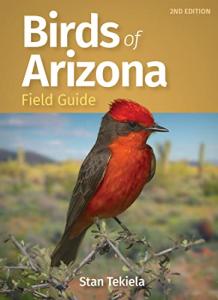 Arizona Bird Identification Field Guide