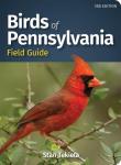 Pennsylvania Bird Identification Field Guide