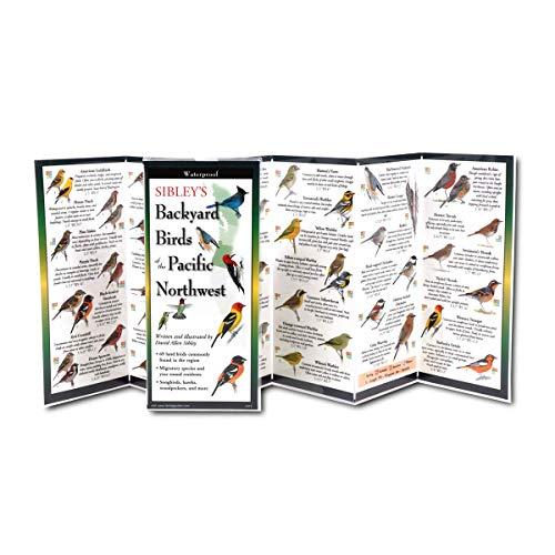 Sibley’s Backyard Birds of the Pacific Northwest Guide