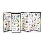 Sibley’s Backyard Birds of the Pacific Northwest Guide