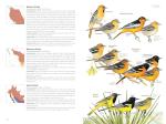National Geographic Bird Guide: U.S. & Canada