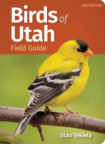 Utah Bird Field Guide for Easy Identification