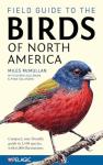 North America Bird Field Guide for Identification