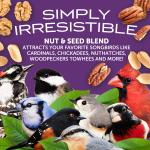 Pennington Fruit & Nut Wild Bird Seed Blend (2.5 lbs)