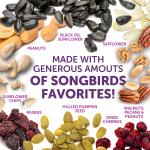 Pennington Fruit & Nut Wild Bird Seed Blend (2.5 lbs)