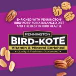 Pennington Fruit & Nut Wild Bird Seed Blend (2.5 lbs)