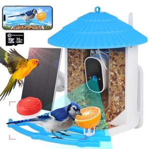 Smart Bird Feeder Camera: Auto Captures Bird Videos