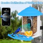 Smart Bird Feeder Camera: Auto Captures Bird Videos